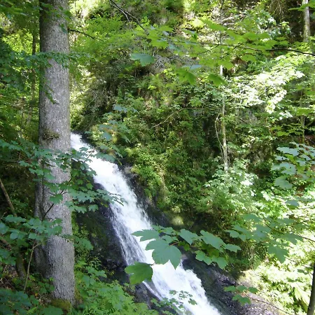 Mit Talblick In Todtmoos