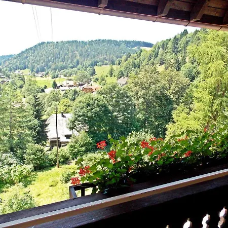 In The Black Forest With Terrace