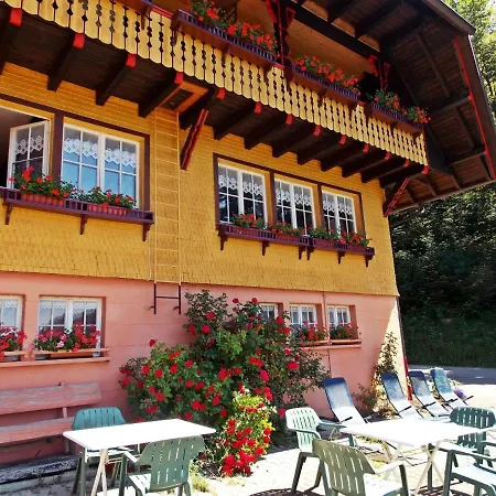 Holiday home In The Black Forest With Terrace Todtmoos