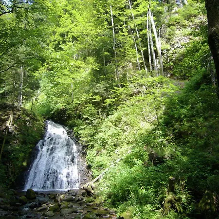 In The Black Forest With Terrace