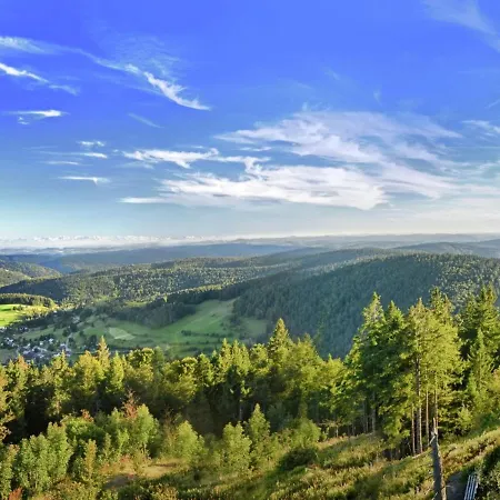 Mit Talblick In * Todtmoos